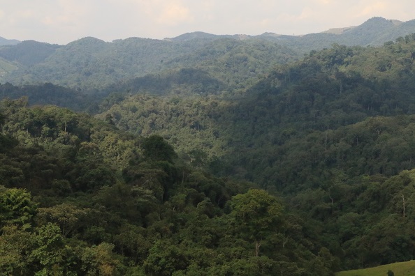 From ambition to action: Rwanda’s climate resilience plan