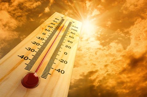 Climate Change Portal Newsletter July - September 2024