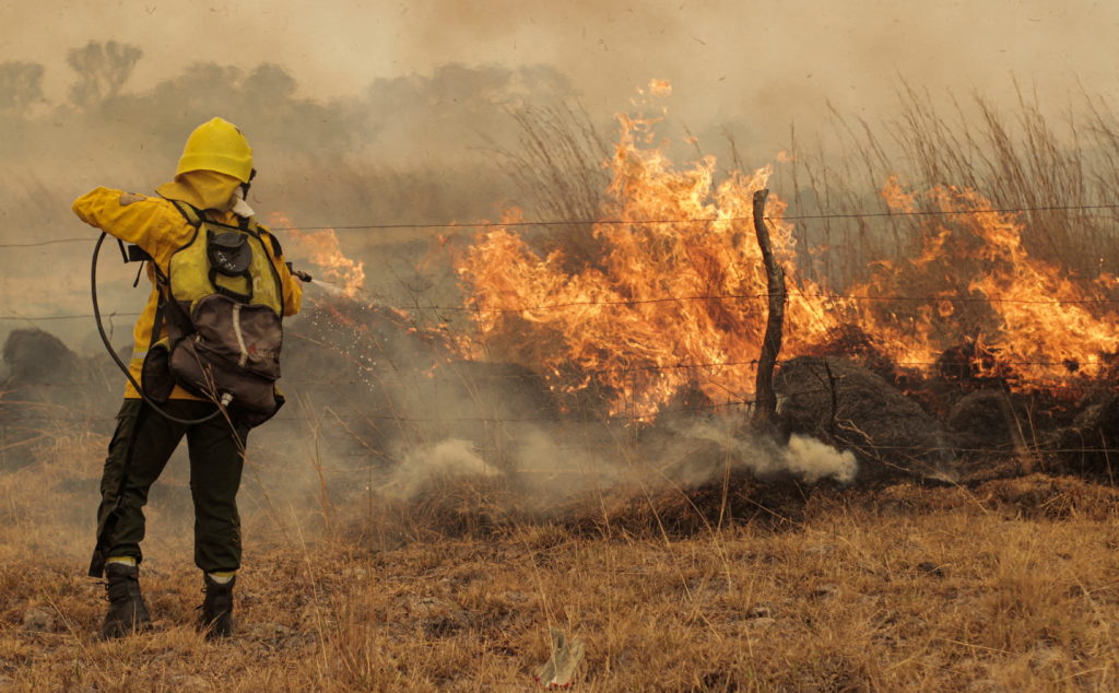 Regional Effects of climate change