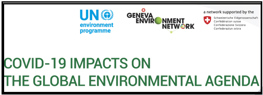 The Geneva Environment Dialogues discussed the impacts of the COVID-19 on the global climate change agenda