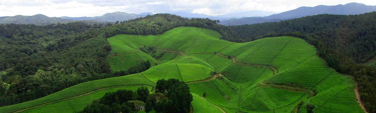 Rwanda Pledges emissions cut of 38% in its climate action plan by 2030