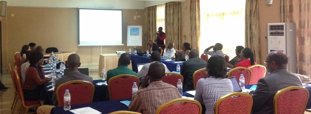 Rwanda NDCs Detailed Implementation Plan disseminated
